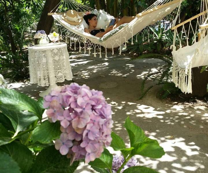 صورة الفندق 13