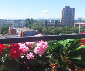 Apartment City Laatzen Laatzen Germany