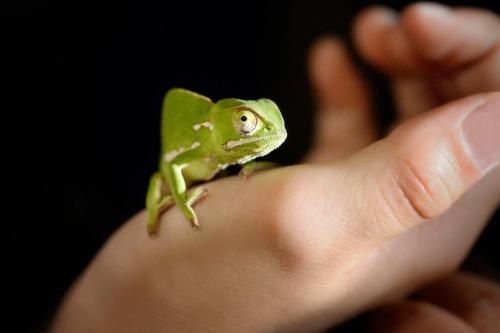 صورة الفندق 13