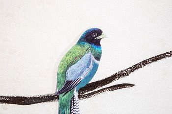 صورة الفندق 21