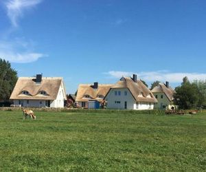 Reetdachhäuser Börgende Boergerende Germany