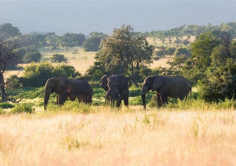 صورة الفندق 9