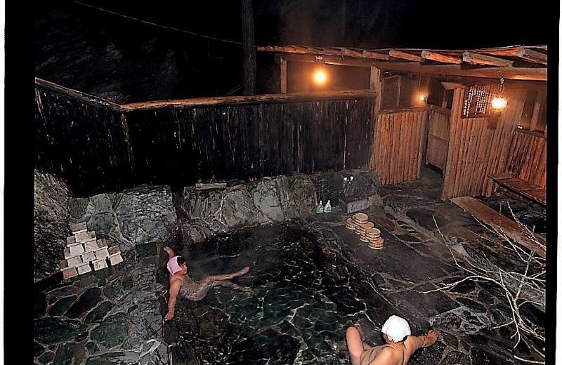 Shin Iya Onsen Hotel Kazurabashi