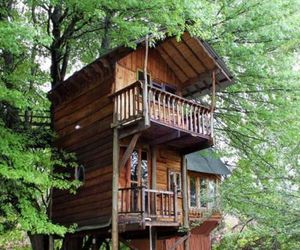 Sycamore Avenue Treehouses & Cottages Accommodation Mooi River South Africa
