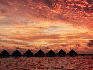 Фото отеля Mercure Maldives Kooddoo Resort