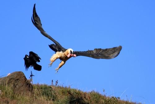 صورة الفندق 15