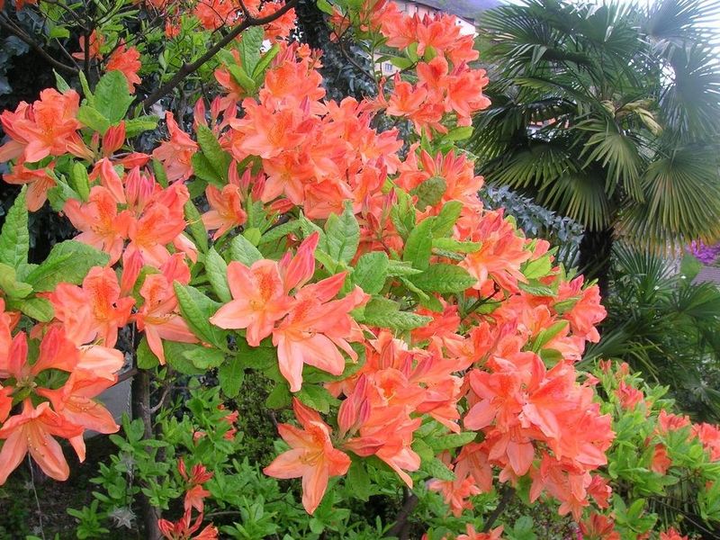 صورة الفندق 17