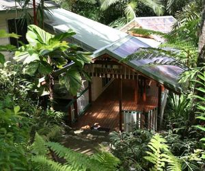 Daintree Secrets Rainforest Sanctuary Diwan Australia