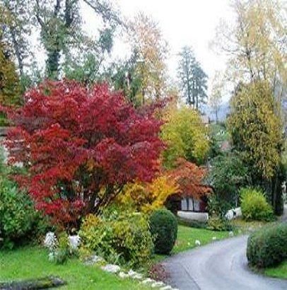 صورة الفندق 21