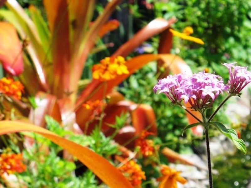 صورة الفندق 19