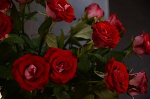 صورة الفندق 19