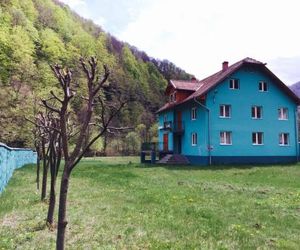 Casa Verde Rau-de-Mori Romania