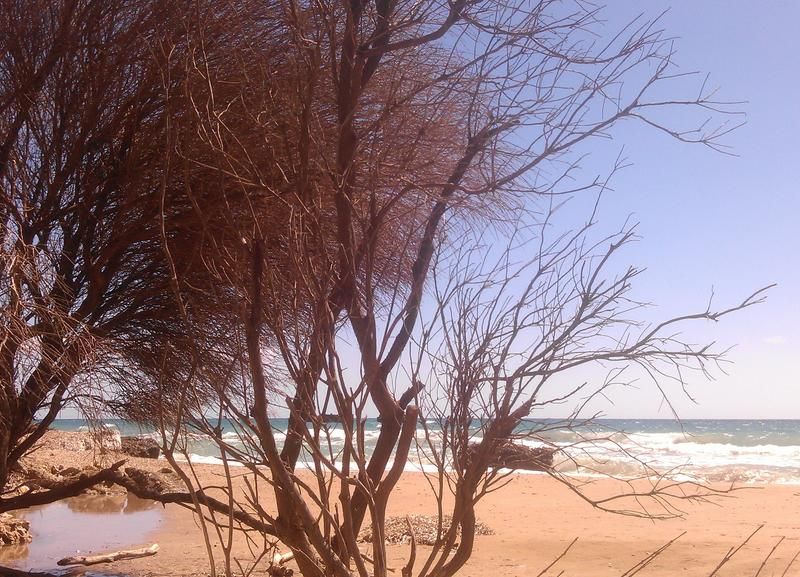 صورة الفندق 24