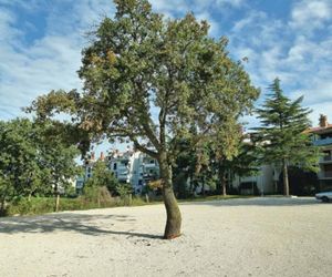 Apartment Marija Milohanovica Cr Porec Croatia