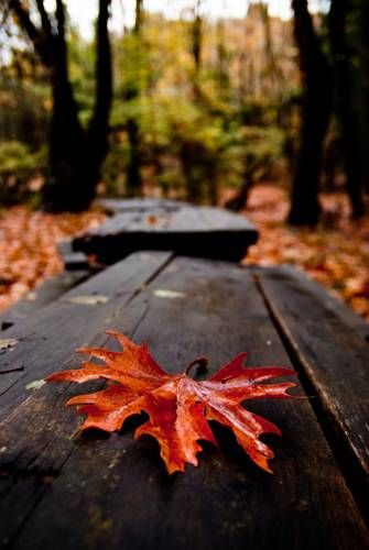 صورة الفندق 13