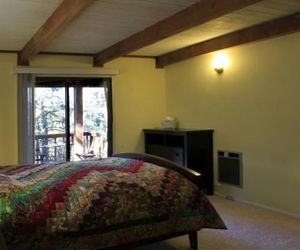 PINECOVE AT IDYLLWILD BY QUIET CREEK VACATION RENTALS Idyllwild United States