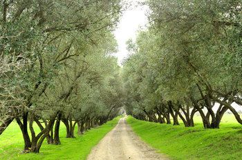 صورة الفندق 14