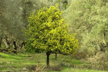 صورة الفندق 15