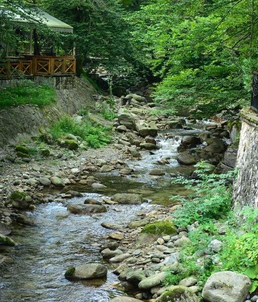 صورة الفندق 21