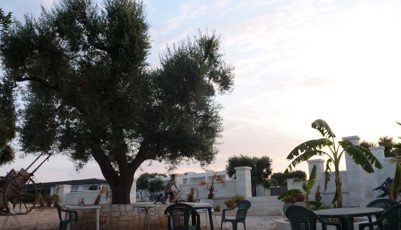 صورة الفندق 1