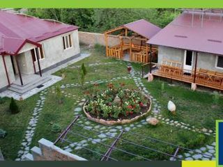 Hotel pic Guest house Hasmik