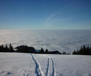 Haus Fiel Dornbirn Austria