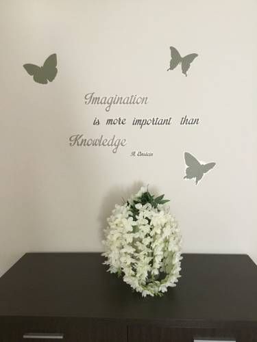 صورة الفندق 22