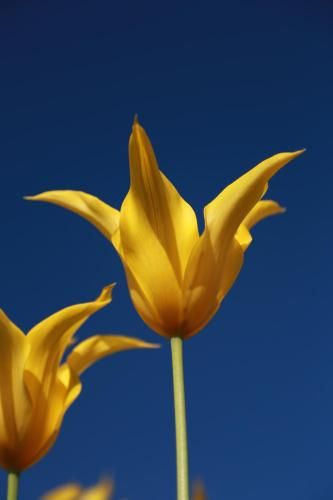 صورة الفندق 20