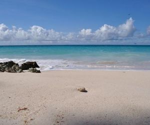 Tropical Gecko Studio - Sweet Jewel Apartments Oistins Barbados