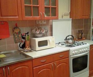 Apartment on Gdovskaya 4 Pskov Russia