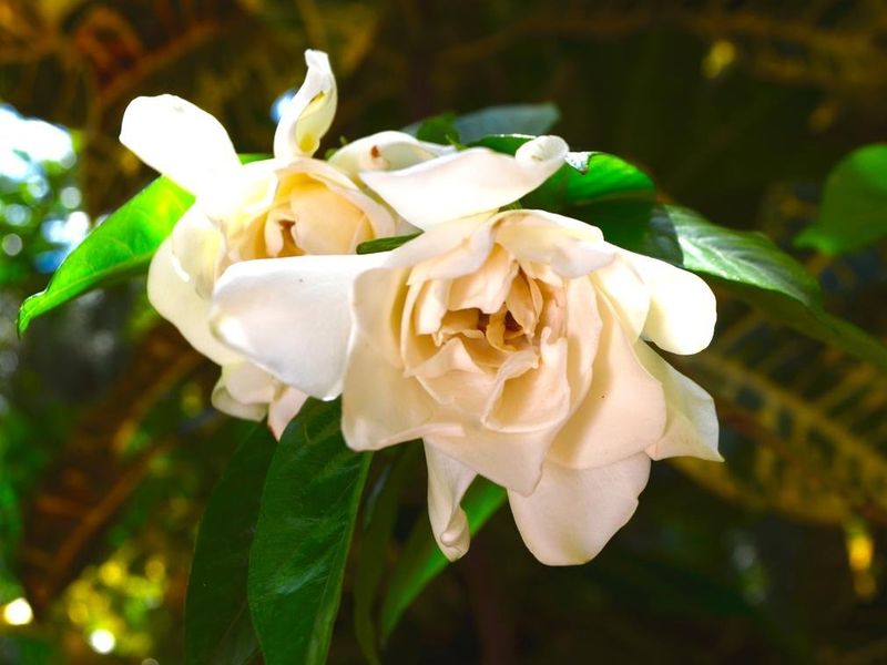 صورة الفندق 20