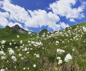 Am Dörfl Vorderlanersbach Austria