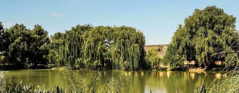 صورة الفندق 19