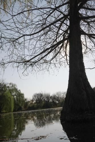 صورة الفندق 20
