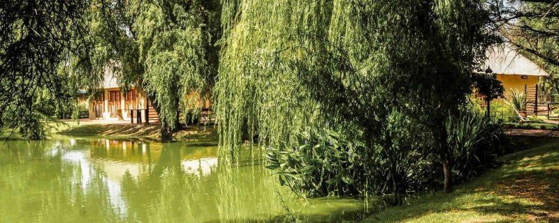 صورة الفندق 21
