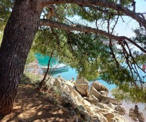 Apartment Ante and Dijana Starigrad Croatia
