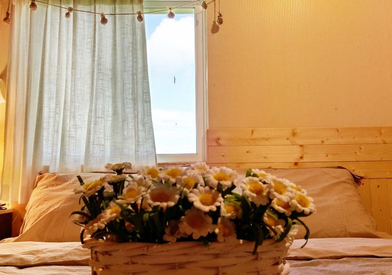 صورة الفندق 8