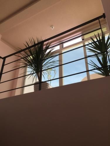 صورة الفندق 15