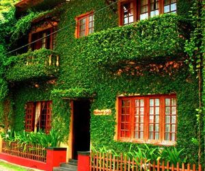 Raintree Lodge Kochi India