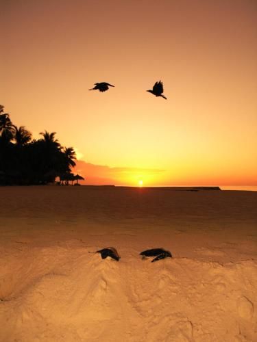 صورة الفندق 21