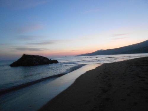صورة الفندق 20