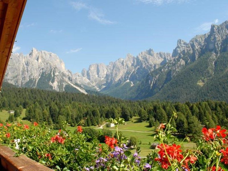 صورة الفندق 15