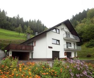 Modern Apartment in Bad Peterstal-Griesbach with Vineyards Bad Peterstal Germany