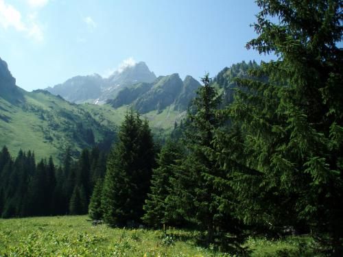 صورة الفندق 2