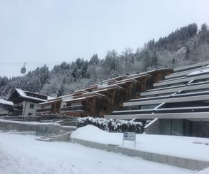 Absolut Alpine Apartments - Apartment am Sonnenhang Neukirchen am Grossvenediger Austria