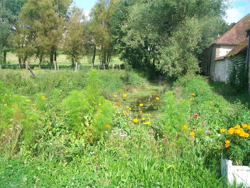 صورة الفندق 8
