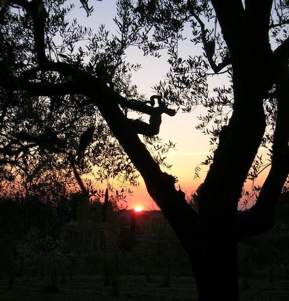 صورة الفندق 19