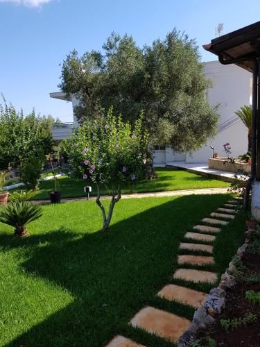 صورة الفندق 3