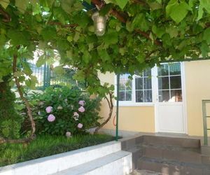 Guest house Gorka Lazarevskoye Russia