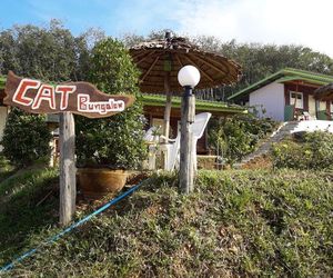 Cat Bungalow Lanta Island Thailand